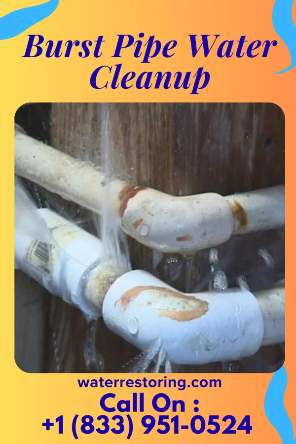 Burst Pipe Water Cleanup in Perry, OH