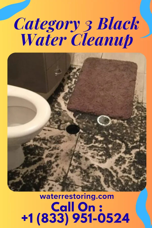 Category 3 Black Water Cleanup in Perry, OH