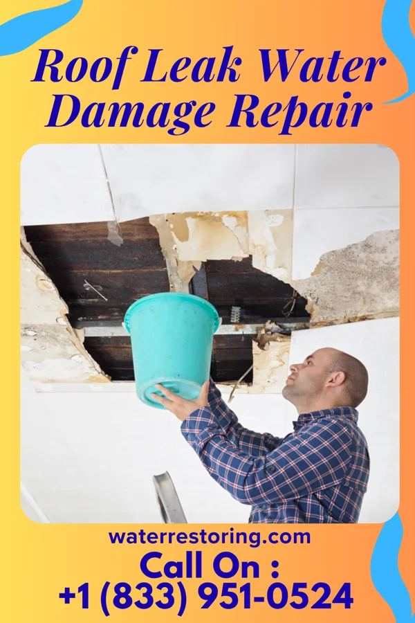 Roof Leak Water Damage Repair in Perry, OH