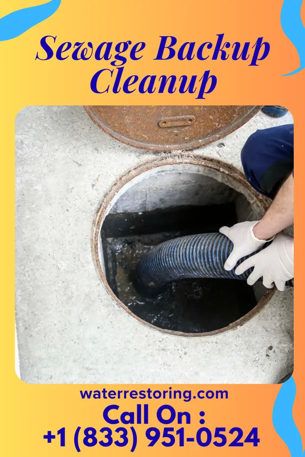 Sewage Backup Cleanup in Perry, OH