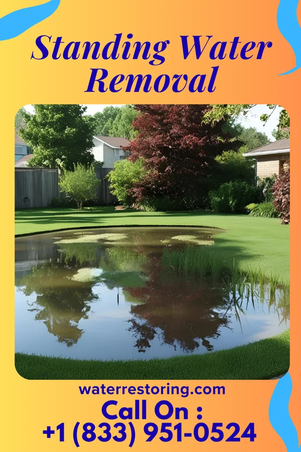 Standing Water Removal in Perry, OH